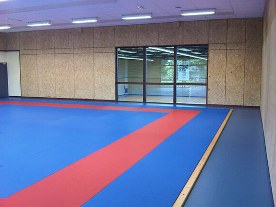 tricot-salle de sport-st georges de reintembault-35-transparence dojo
